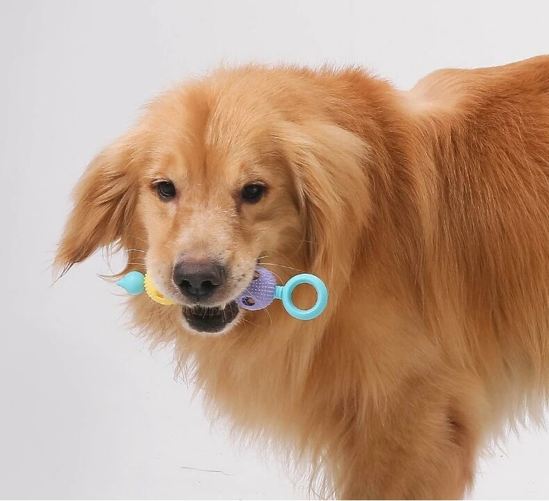 Pet Toy Dog Biting Glue Grinding Teeth Cleaning Grinding Stick Dog Toy Leaky Food Toy Leaky Food Ball Molar Rod